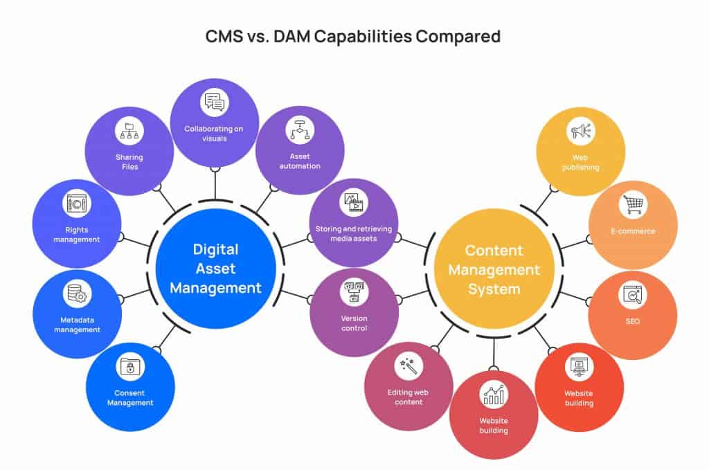 Cms vs. Dam