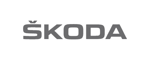 Typeskoda statusgrey